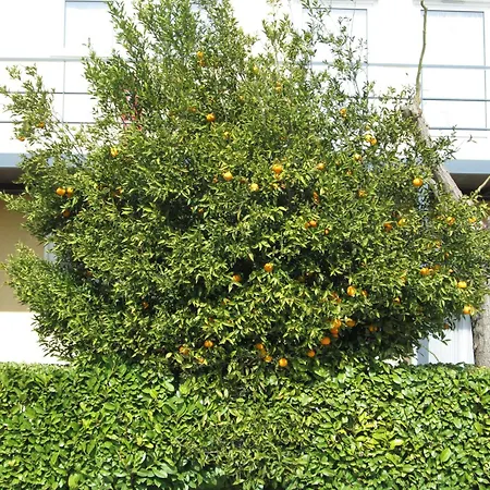 Top Motel Istres